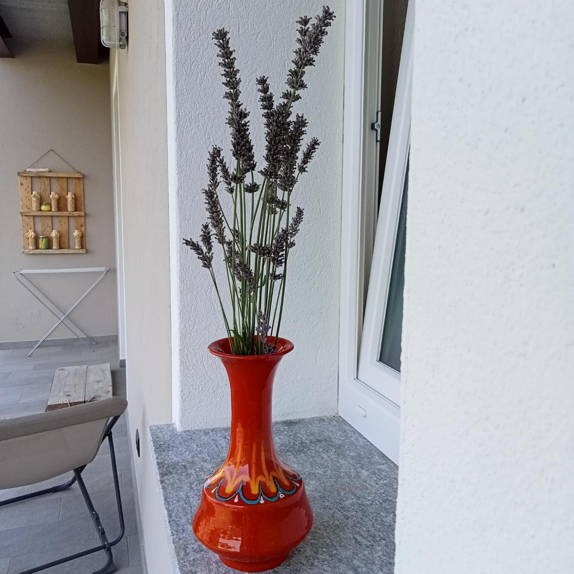 فندق Santino'S House Peveragno المظهر الخارجي الصورة